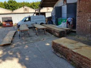 The oak outside the workshop ready to be carried inside